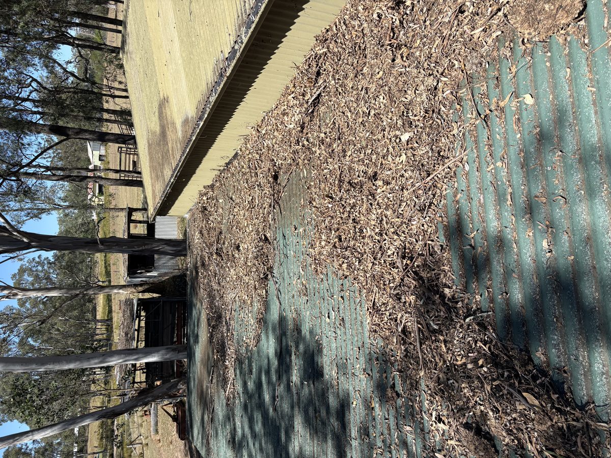 Gutter before cleaning in the Hawkesbury by A&J Exterior